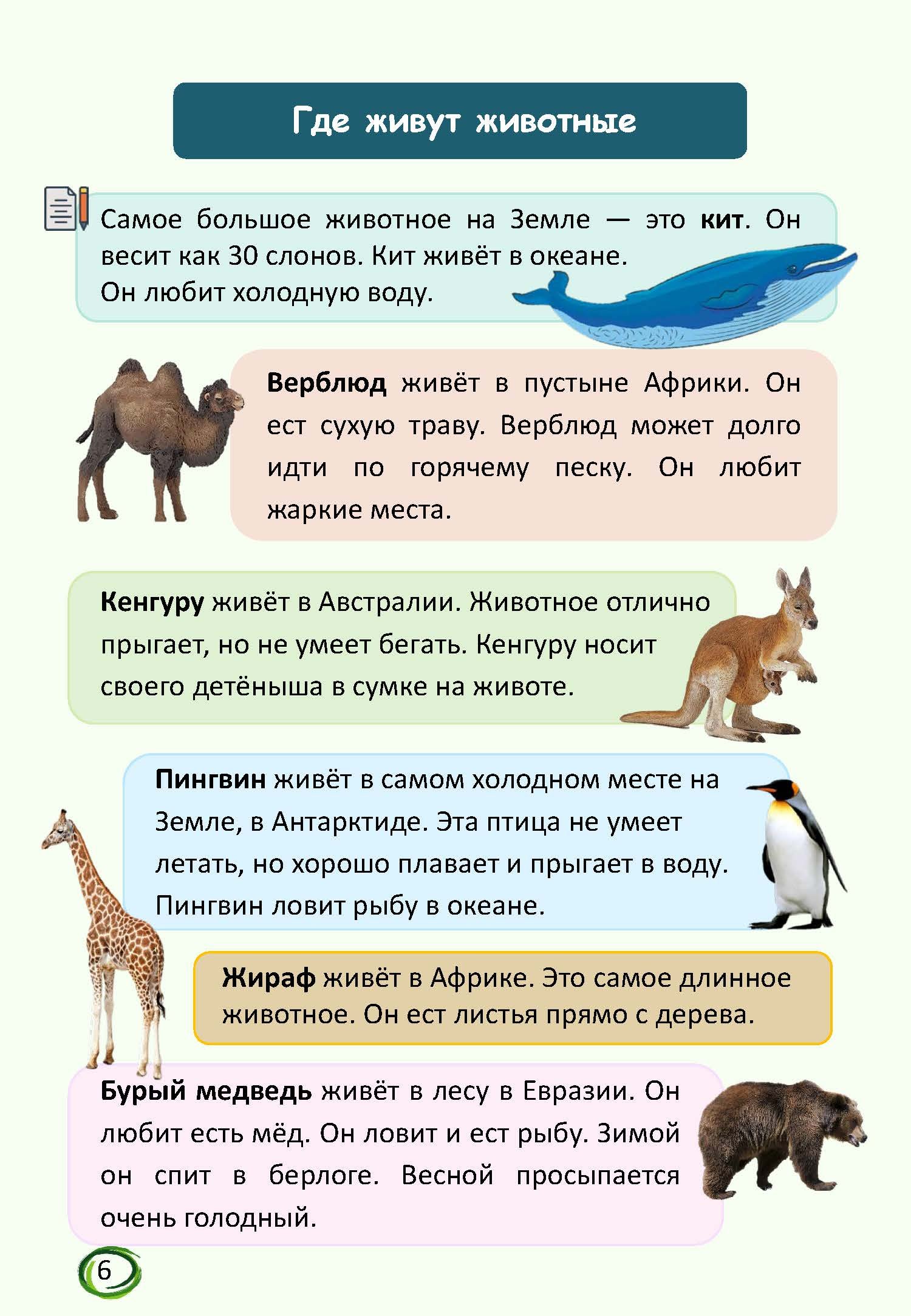 В мире животных — изображение 3