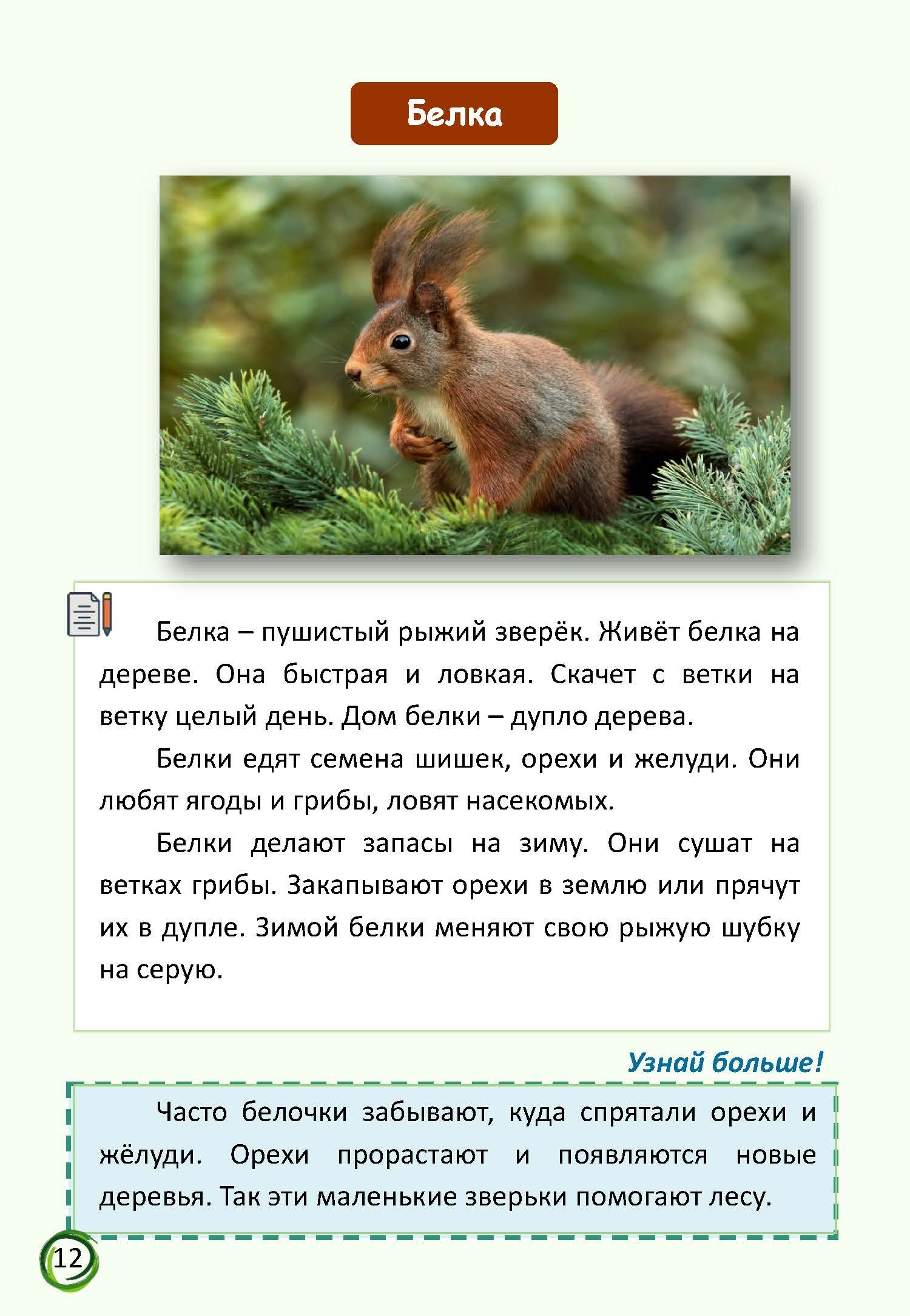 В мире животных — изображение 5