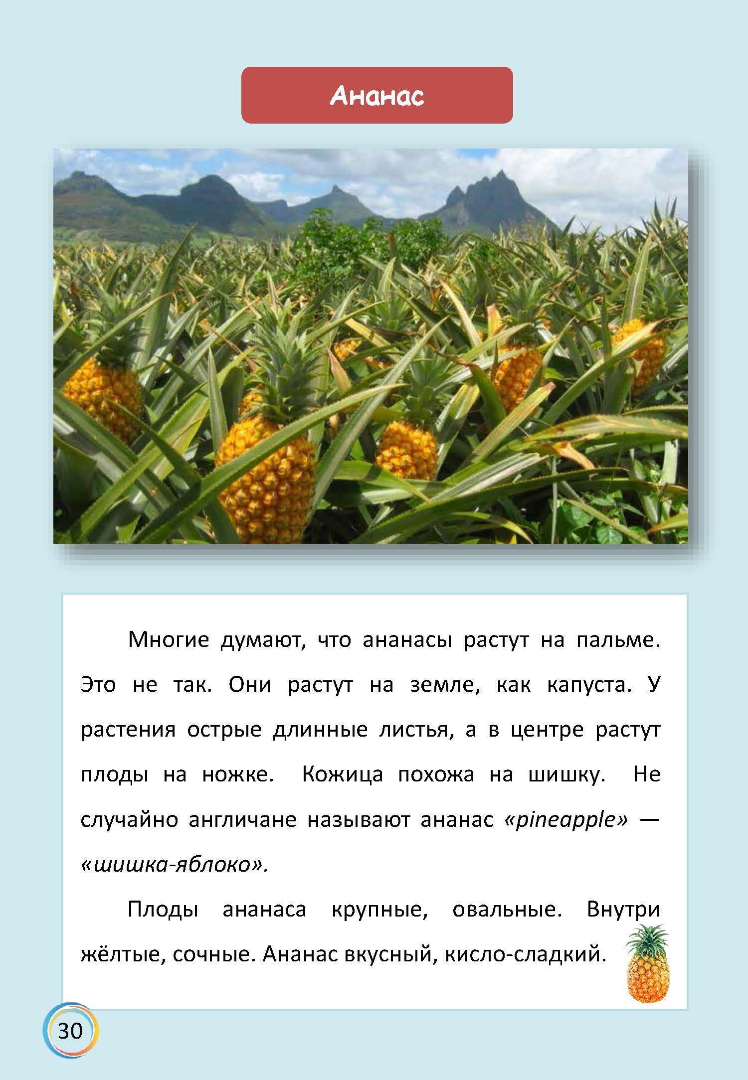 В мире интересного — изображение 7