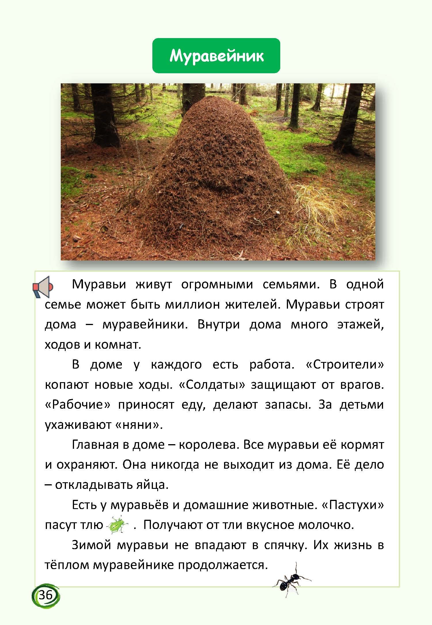 В мире животных — изображение 7