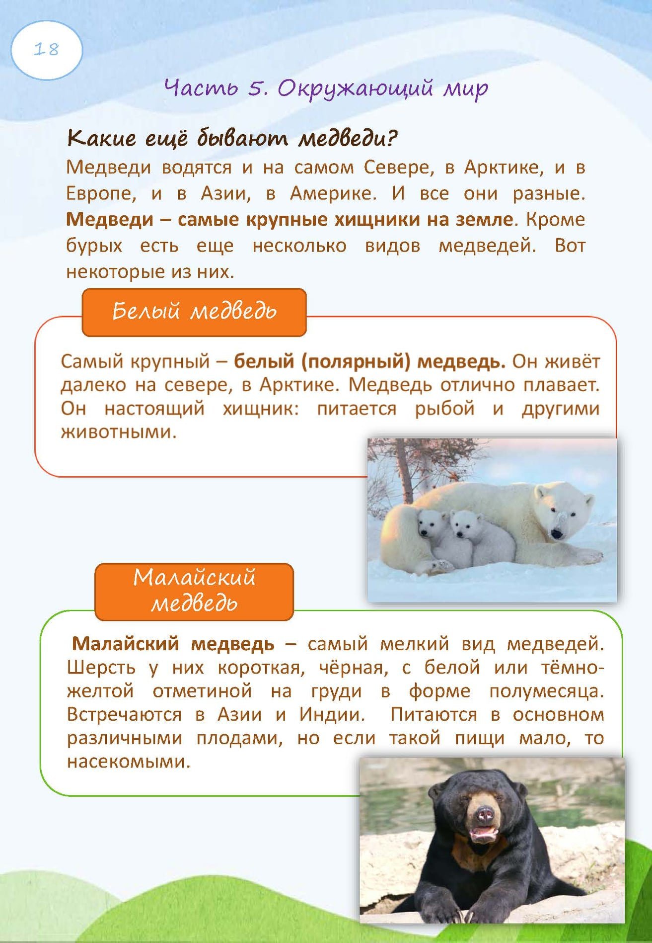 Интегрированный урок «Медведь» — изображение 18