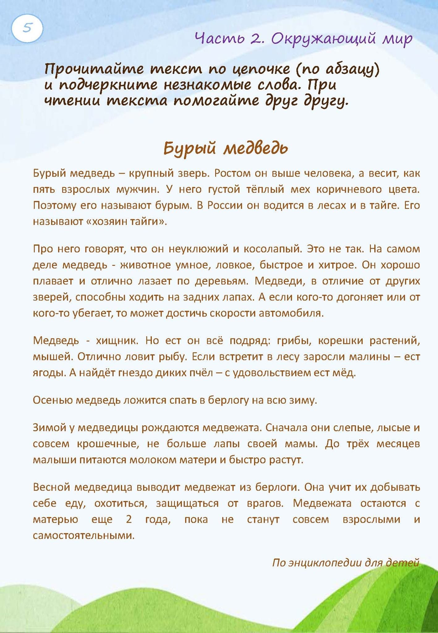 Интегрированный урок «Медведь» — изображение 5