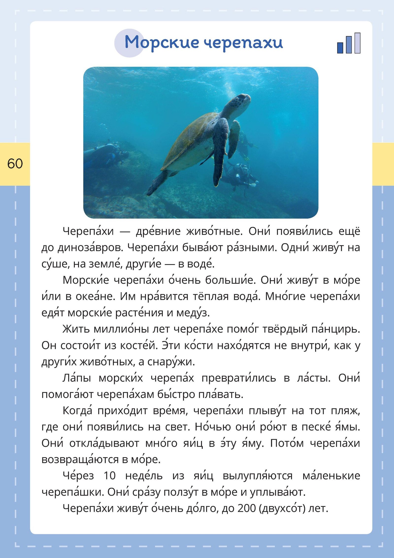 Практикум по чтению. Книга 2. А1+ — изображение 6