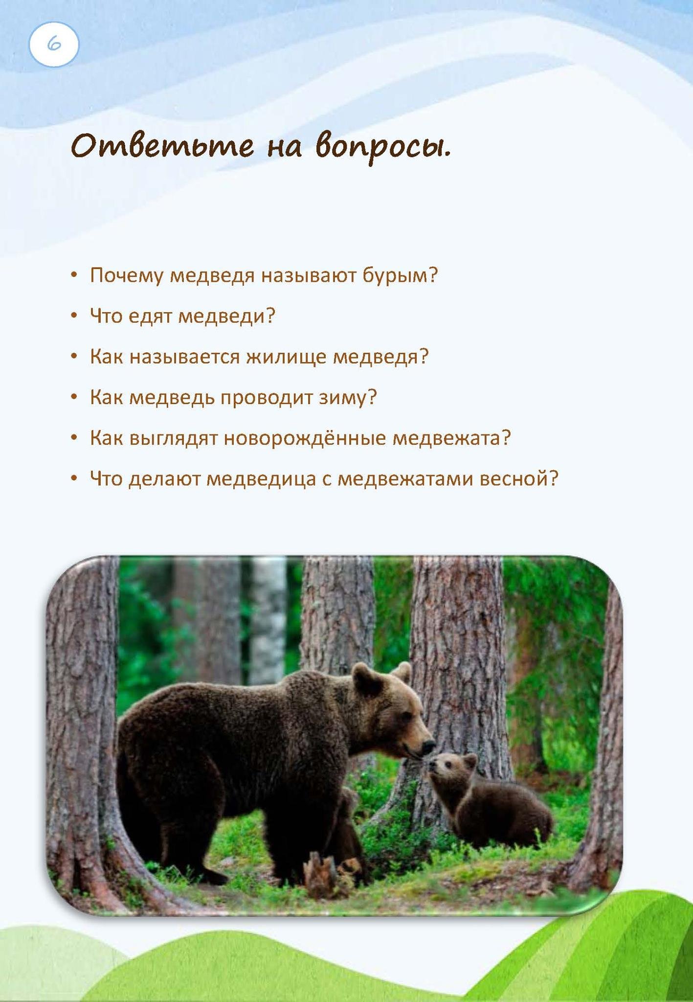 Интегрированный урок «Медведь» — изображение 6