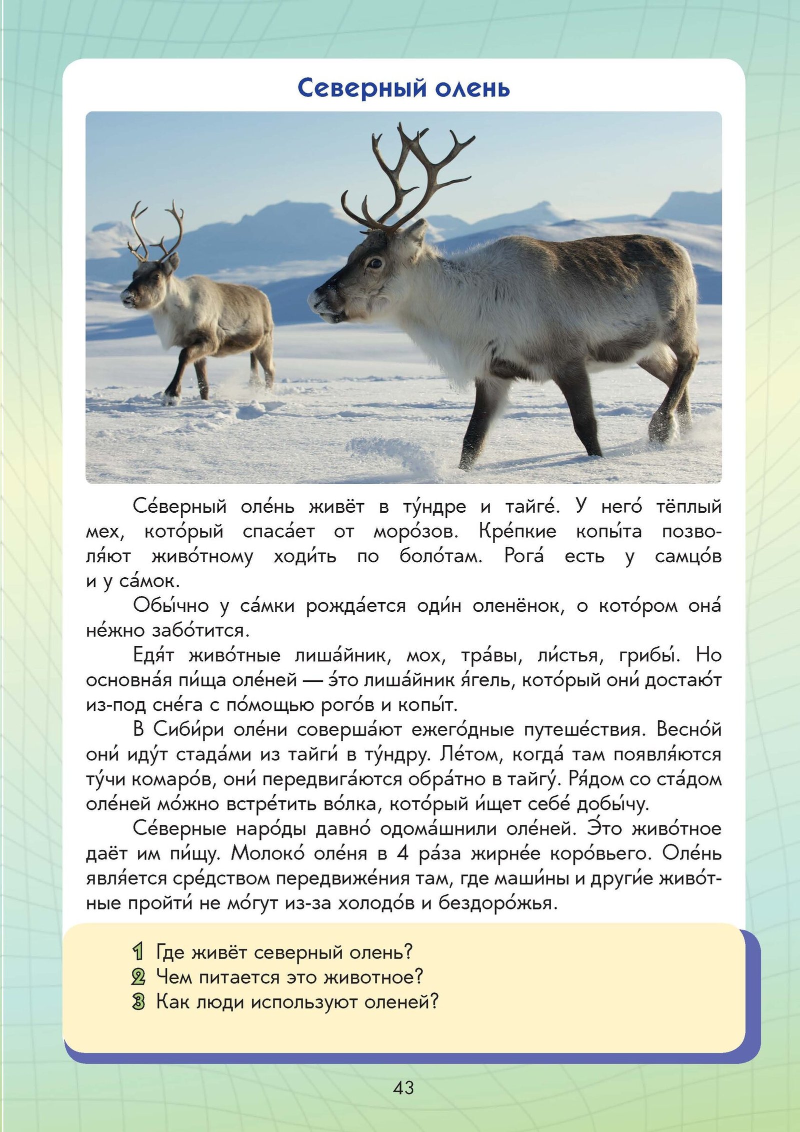 Путешествие по России — изображение 8