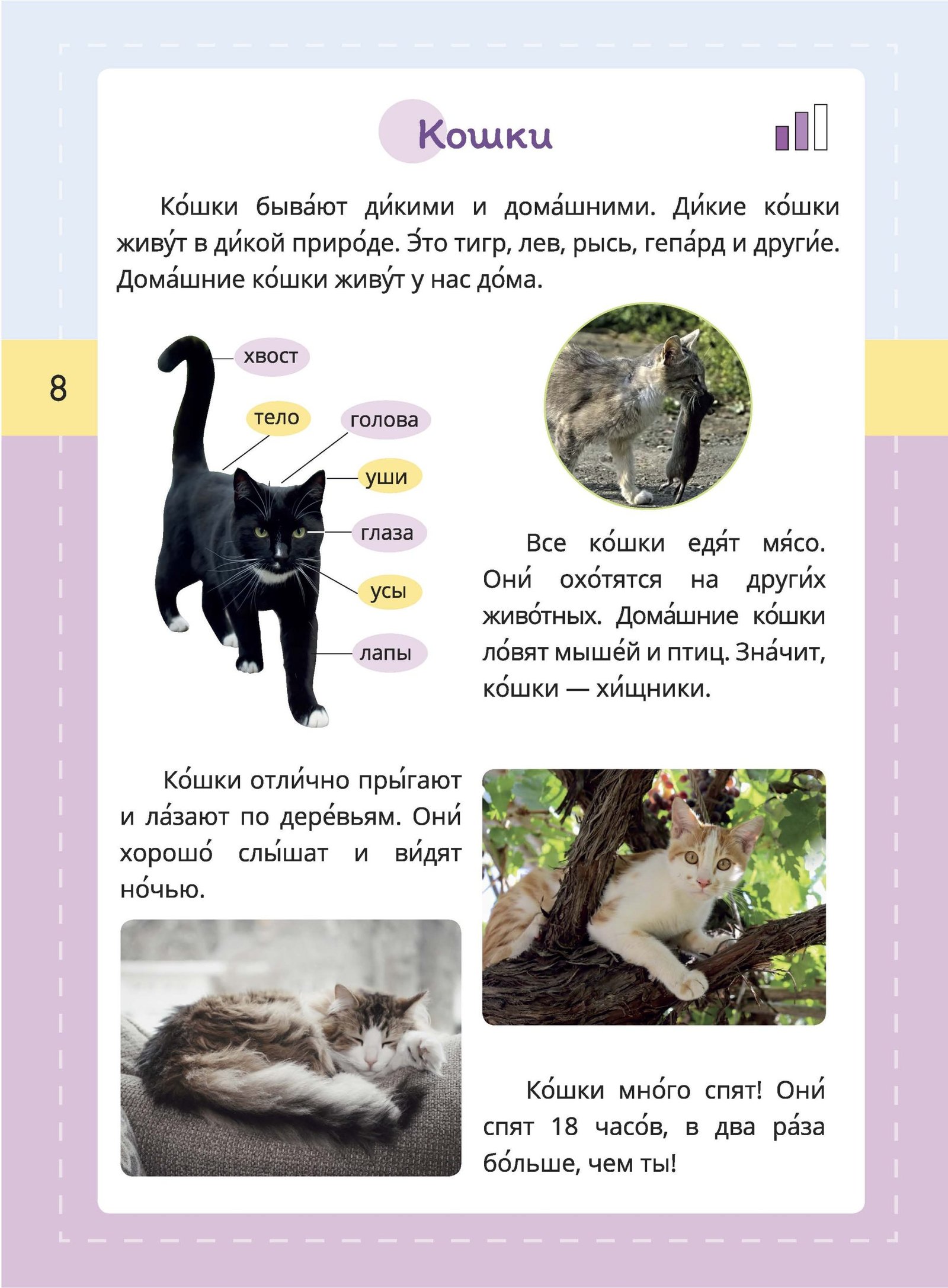 Практикум по чтению. Книга 1. А1+ — изображение 4